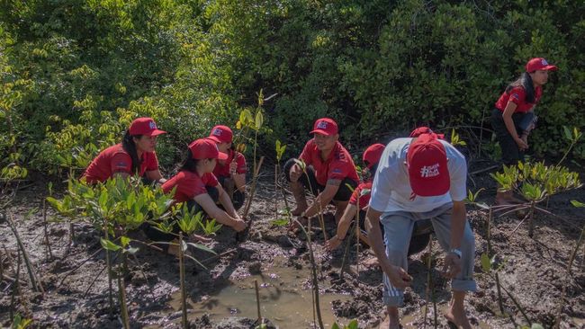 Tukad Mati Lestari Badung dan SRC Tanam Mangrove di Badung